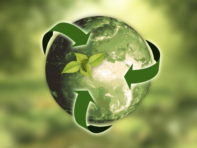 News sul Green e l’ambiente